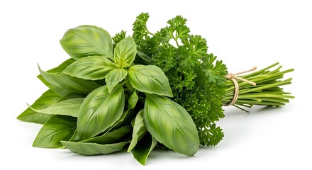 Fresh green basil and parsley herbs bunch tied with twine, isolated on white.
