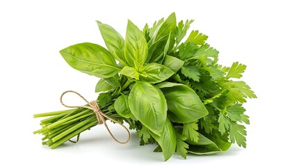 Fresh green basil and parsley culinary herbs tied with twine, isolated white.