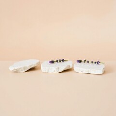 Three white rocks with dark mineral inclusions arranged in a row