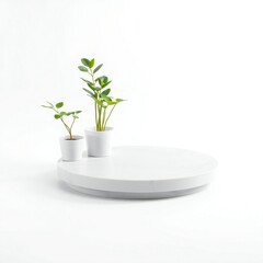 Minimalist display of small green plants in white vases on a white surface
