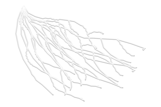 Abstract white lines branching out on black background