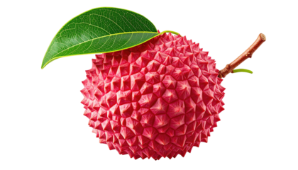 Lychee fruit with leaf. Textured, pink, on black ground