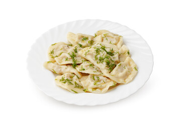 Delicious dumplings served with fresh herbs on a white plate