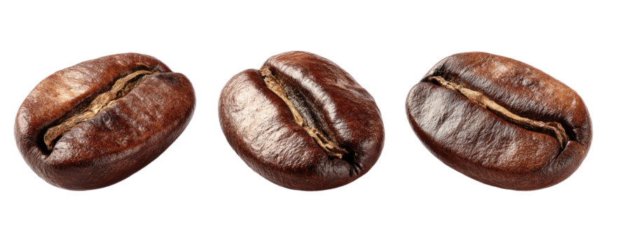 Three roasted coffee beans, detailed close-up, isolated on black