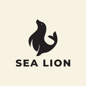 Sea lion animal logo  icon vector symbol illustration minimalist design