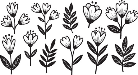Set of hand-drawn floral elements including flowers and leaves vector illustration for decoration and design
