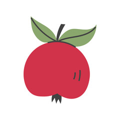 Red Apple with Leaves Hand Drawn Icon. Minimal Playful Ripe Fruit flat vector illustration. Childish Card. Summer Harvest Symbol