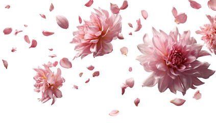 Delicate pink flowers and petals float against a dark background