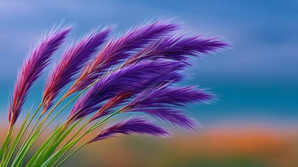 Close-up of vibrant purple pampas grass plumes gently swaying in the wind against a soft, out-of-focus background of blue sky and warm earth tones.
