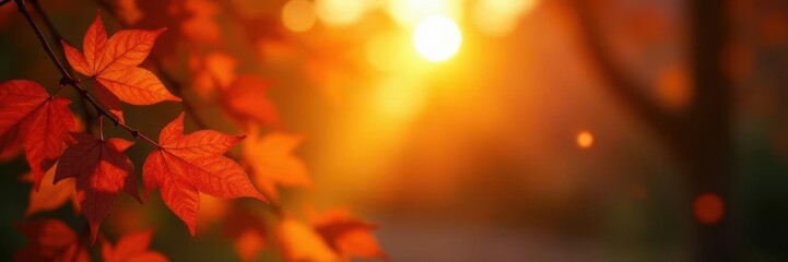 Golden hour light, glowing bokeh orbs illuminate autumn leaves , peaceful, vibrant