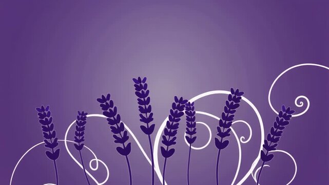 Elegant motion clip showing animated purple lavender stalks growing dynamically with decorative white floral scroll lines against violet gradient background