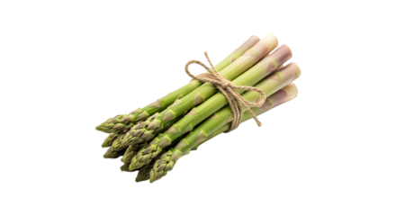 Fresh green asparagus spears tied with twine isolated on transparent background