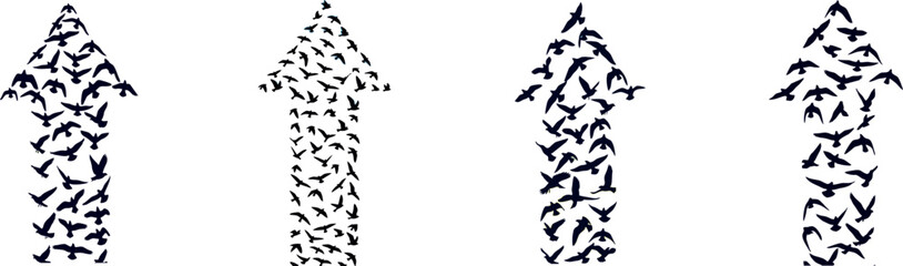 Obraz premium Flock of Birds Ascending in Arrow Formation, symbolizing upward movement, progress, and unity
