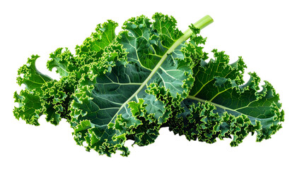 Close-up of two fresh, vibrant green kale leaves with detailed textures against black background