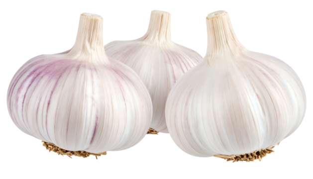 Three whole bulbs of pungent, layered, white and purple-tinged allium vegetable