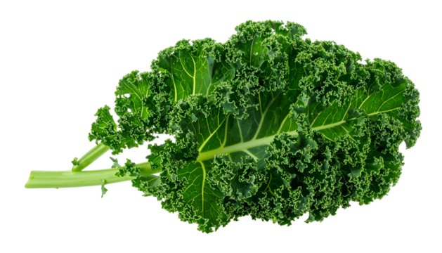 Close-up of a single, vibrant green kale leaf isolated against a stark black background