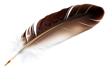 Large eagle flight feather, suited for strength and freedom symbols. Classic brown-white gradient.