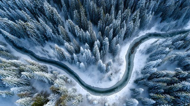 Aerial winter forest with frozen river winding through snowy landscape - Powered by Adobe