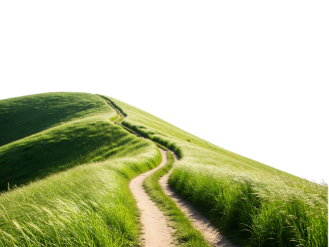 Winding dirt path through lush green grassy hills isolated on transparent background