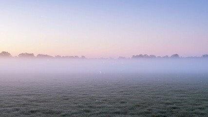 Obraz premium Misty Field Sunrise with Pastel Sky