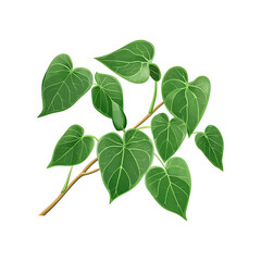 Naklejka premium Green Leaves on a Branch