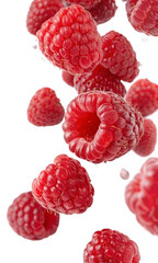 raspberries isolated on white background