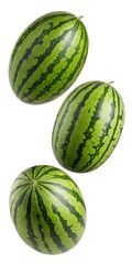 watermelon isolated on white