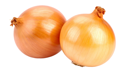 Two mature, spherical onions with textured, light brown skin, against a black background