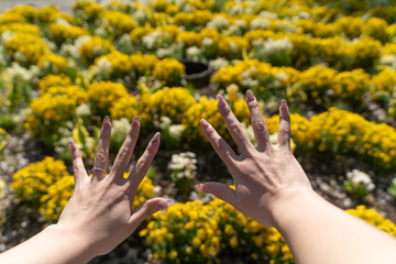 Hands with Nail Art in Spring Light②
