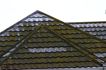 green growth on roof