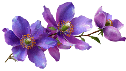 Delicate purple and pink blossoms on a thin stem against black