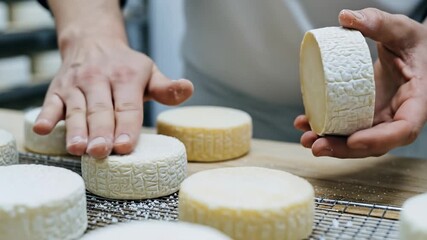 Artisan cheese maker carefully crafts fresh cheese rounds in a rustic dairy.