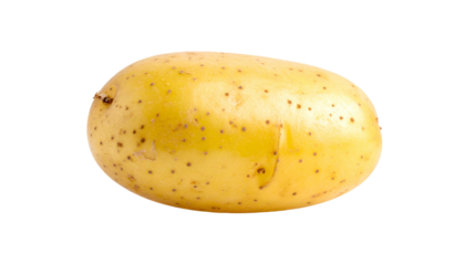 Close-up of a single, raw, pale brown, oval-shaped potato with visible skin texture