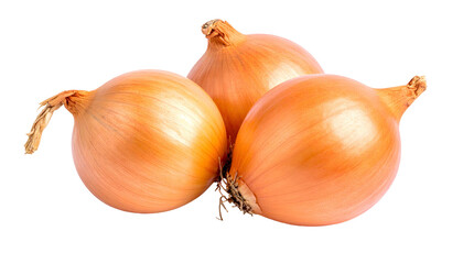 Close-up of three golden-brown onions with dry skin and some root and stem details