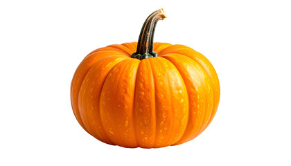 Obraz premium A vibrant, orange pumpkin against a black backdrop, showing stem and texture