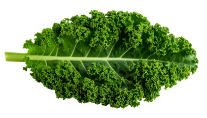 Macro shot of a single leafy green vegetable isolated against a stark black background