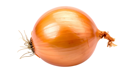 Close-up studio shot of a raw, whole onion with translucent layers