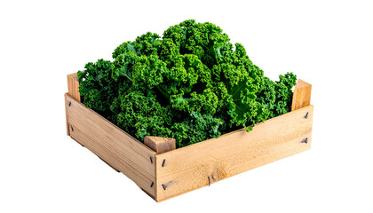Fresh, vibrant green kale overflowing a rustic, wooden crate against a black backdrop