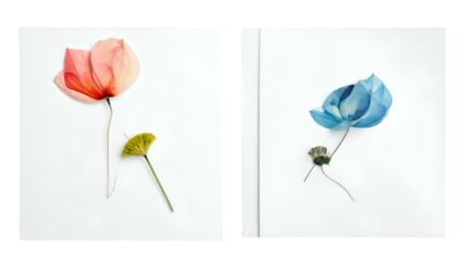 Two square images each with a single dried flower and leaf against a white backdrop