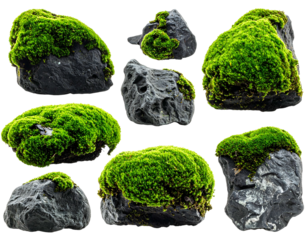 Assortment of dark gray rocks, adorned with vibrant, textured, green moss