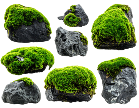 Assortment of dark gray rocks, adorned with vibrant, textured, green moss
