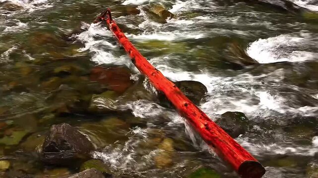 a video of Nisqually River in Mount Rainier National Park Washington State