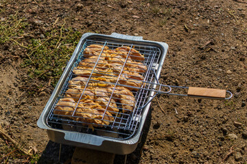 Chicken cooks on a portable grill by a lake during a hiking and outdoor travel stop. 