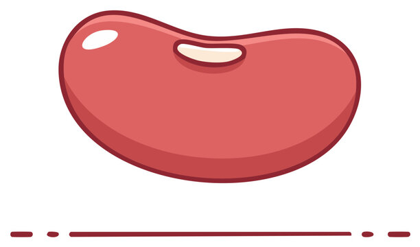 Cartoon Red Kidney Bean Illustration on White Background for Nutritional Concept
