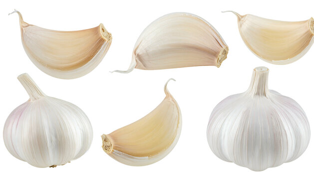 Close-up view of fresh garlic cloves and bulbs on a transparent background