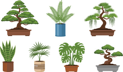 Collection of indoor potted plants and bonsai trees illustration featuring decorative houseplants, tropical leaves, greenery design elements for home decor artwork