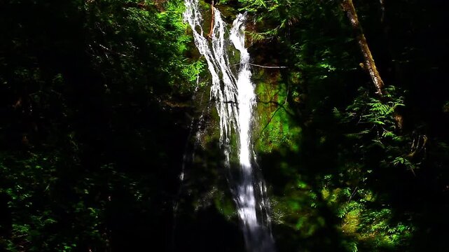  a video of Madison Falls in Olympic National Park Washington State