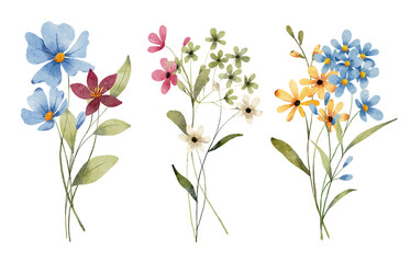 Set watercolor flowers painting, floral vintage bouquet illustrations with wildflowers and leaves. Decoration for poster, greeting card, birthday, wedding design. Isolated on white background.