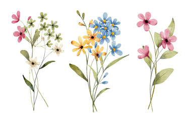 Set watercolor flowers painting, floral vintage bouquet illustrations with wildflowers and leaves. Decoration for poster, greeting card, birthday, wedding design. Isolated on white background.