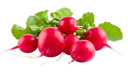 Close-up of vibrant red radishes with green leaves, cut and isolated on black